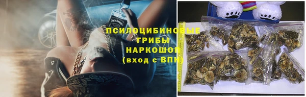 ГАЛЛЮЦИНОГЕННЫЕ ГРИБЫ Балабаново