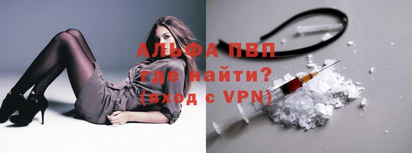 ГАЛЛЮЦИНОГЕННЫЕ ГРИБЫ Балабаново